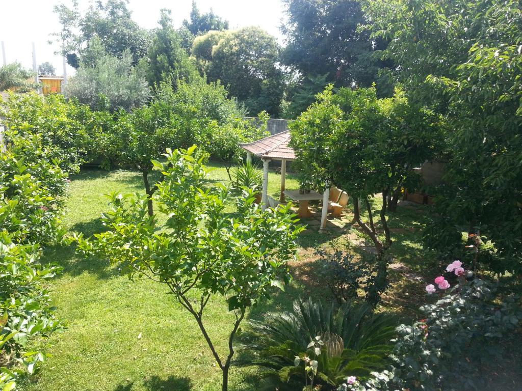 Hotel Capys Капуа Екстериор снимка